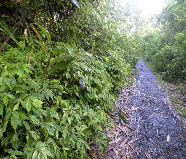 taman wisata bukit kaba