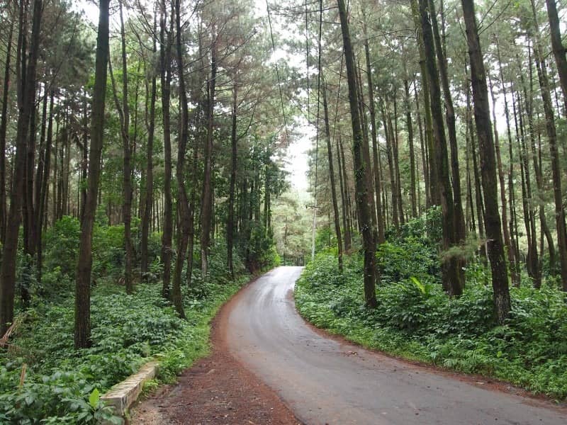 wisata pango pango