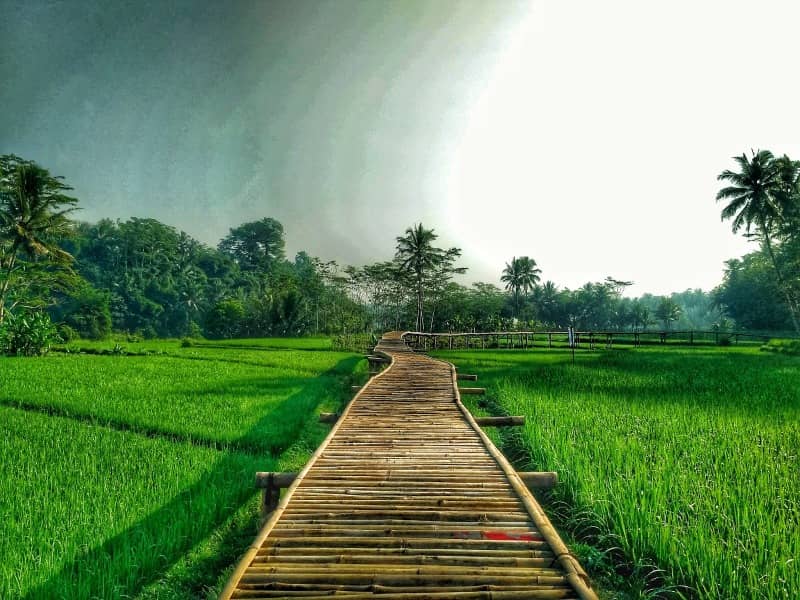 JSPB di Bantul