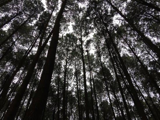 wisata di mojokerto