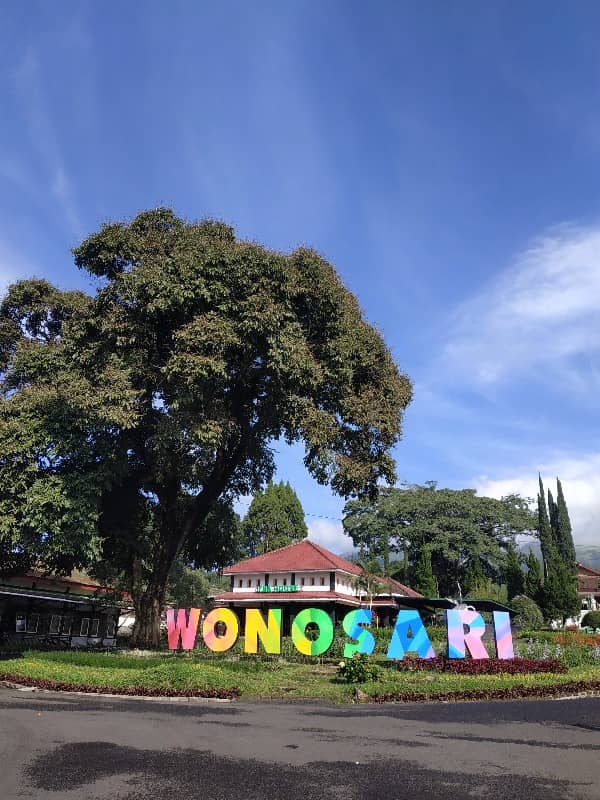 perkebunan teh wonosari