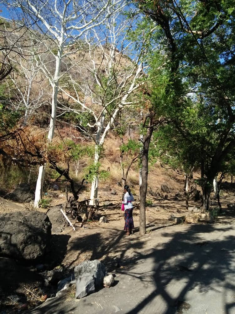 pulaki temple