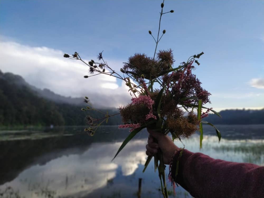Danau Tamblingan bali