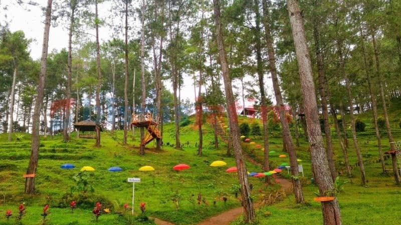 wisata alam di tulung agung