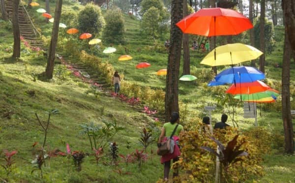 wisata alam di tulung agung