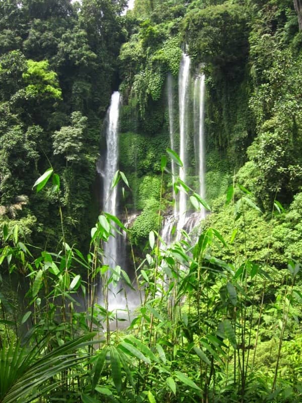 air terjun sekumpul bali