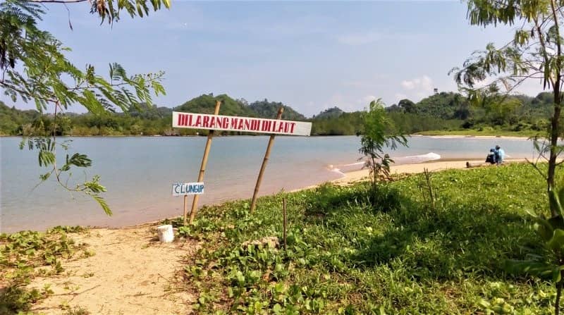 pantai clungup