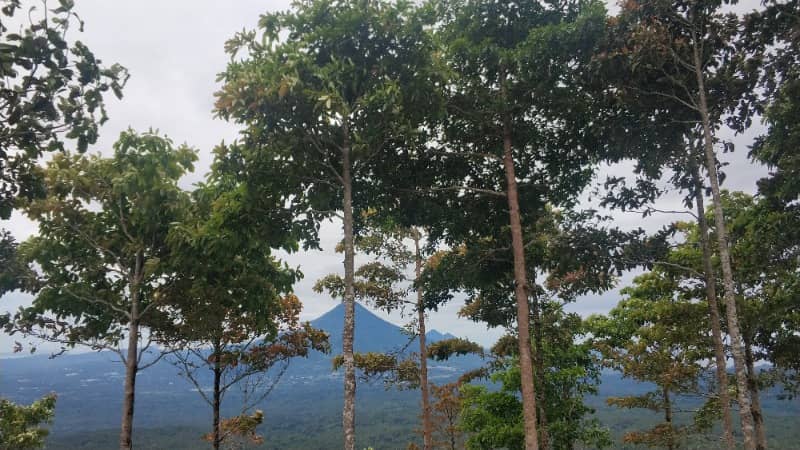 puncak tetetana