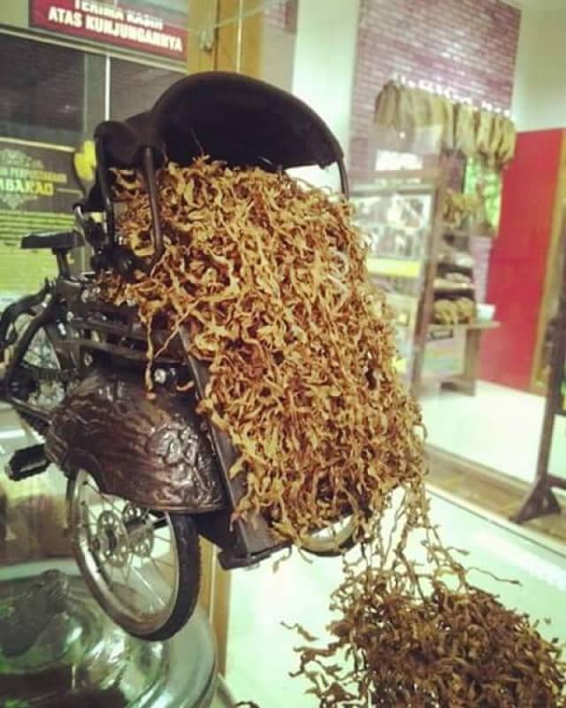 museum tembakau jember