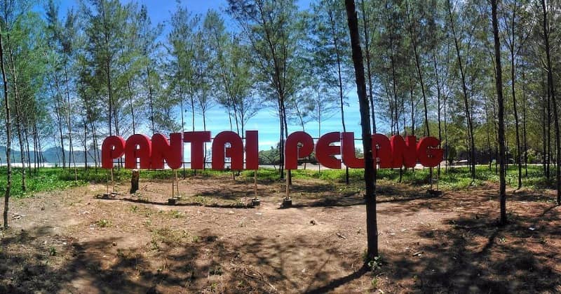 pepohonan di pantai pelang trenggalek