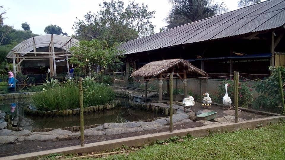 jendela alam bandung