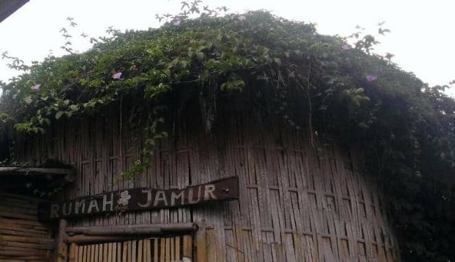 jendela alam bandung