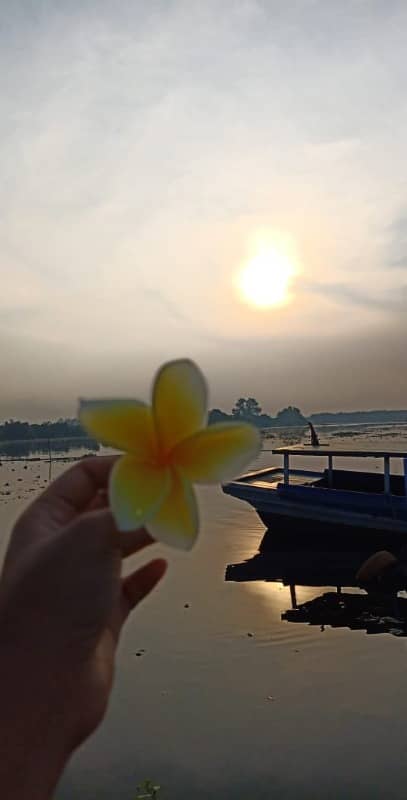 Sanau Siombak Medan