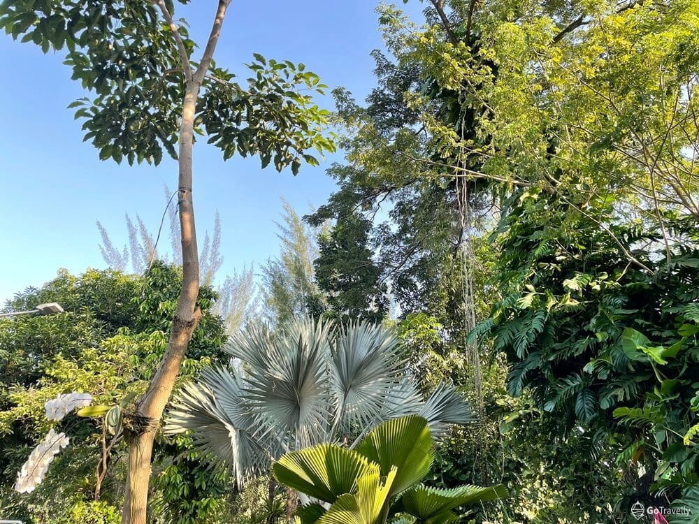 Wisata alam Surabaya