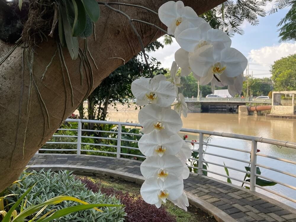 wisata Surabaya