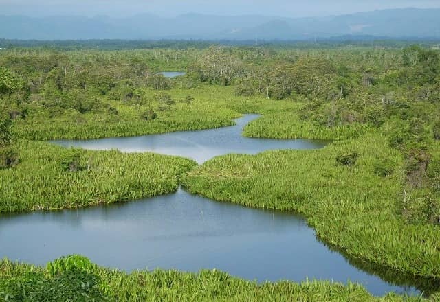 wisata di bengkulu
