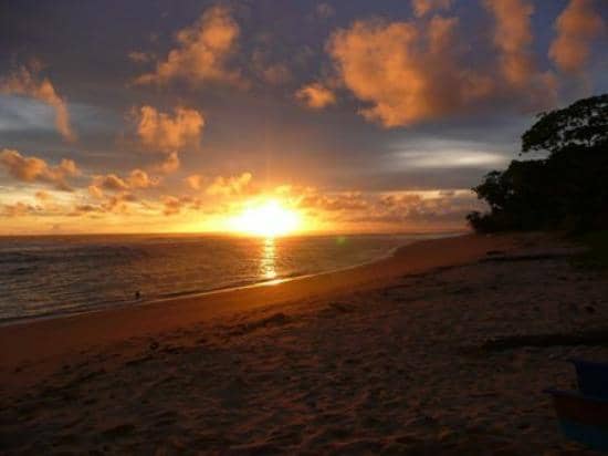 pantai ngliyep
