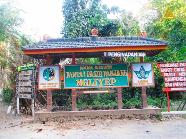 pantai ngliyep