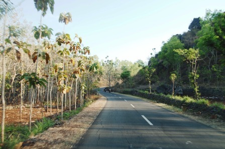 Piknik Asik di Pantai Kukup Gunungkidul