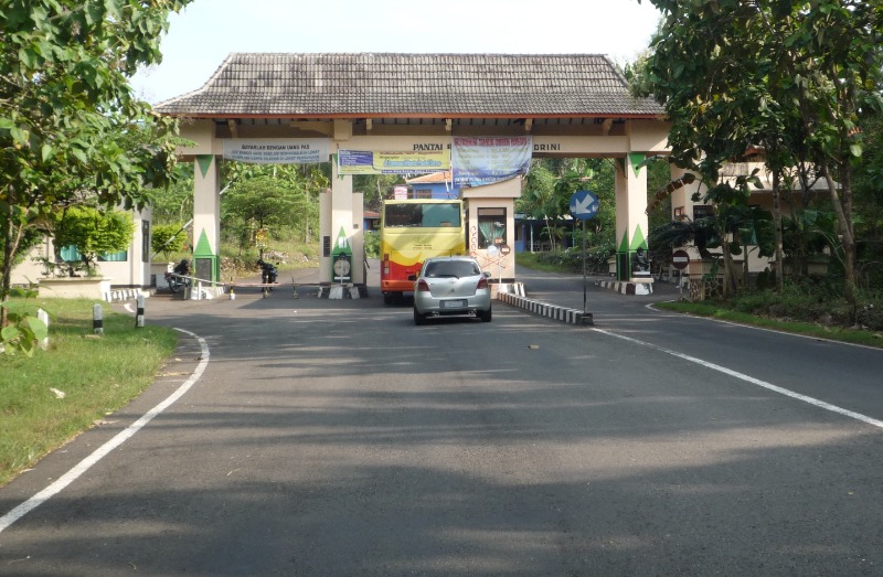 Piknik Asik di Pantai Kukup Gunungkidul