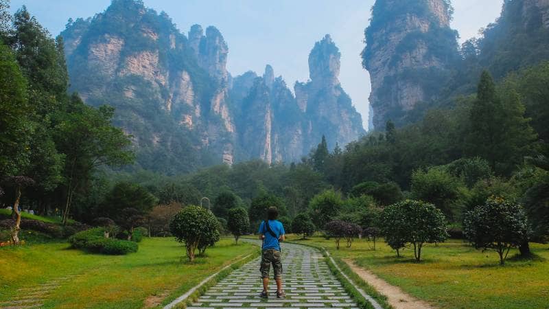 zhangjiajie national forest park