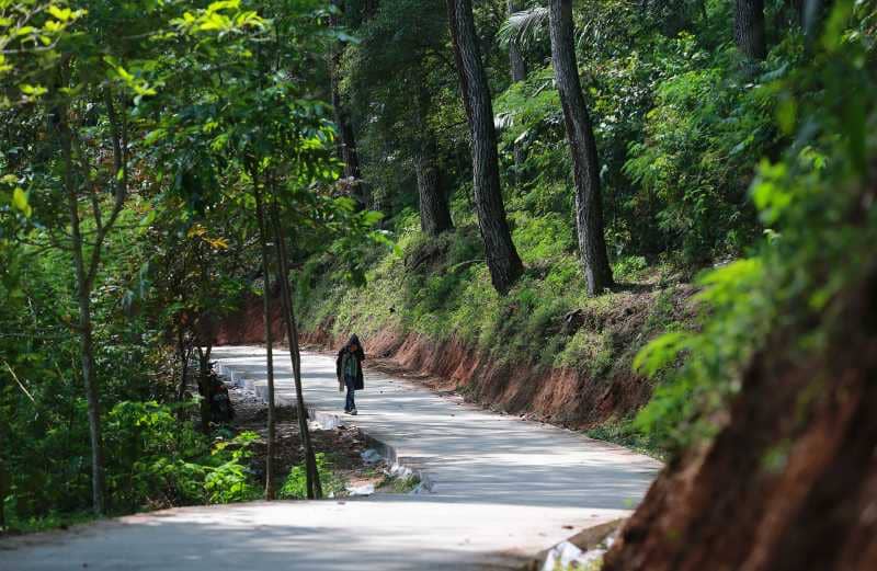 djuanda forest park