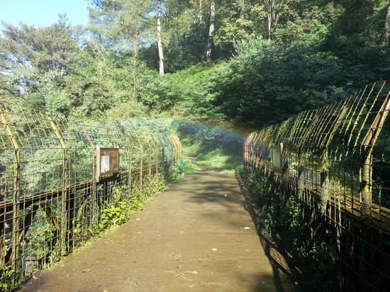 djuanda forest park