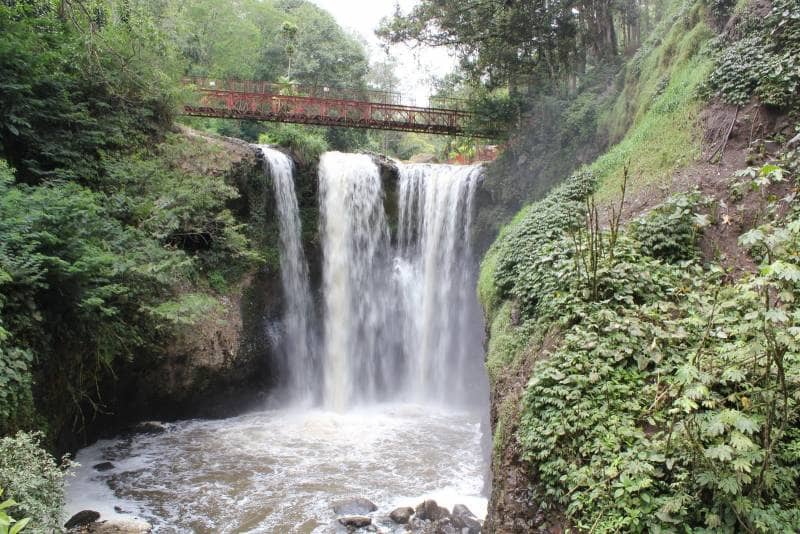 djuanda forest park