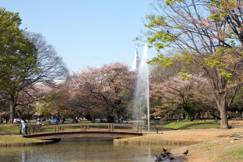 yoyogi park