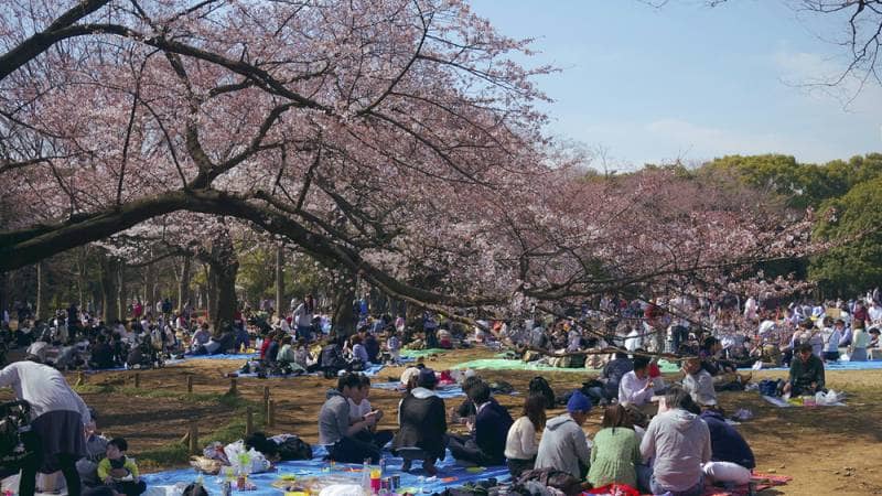 yoyogi park
