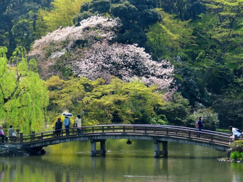 shunjuku gyoen park