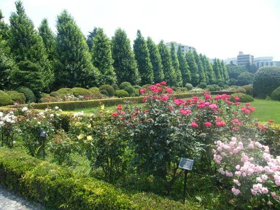 shunjuku gyoen park