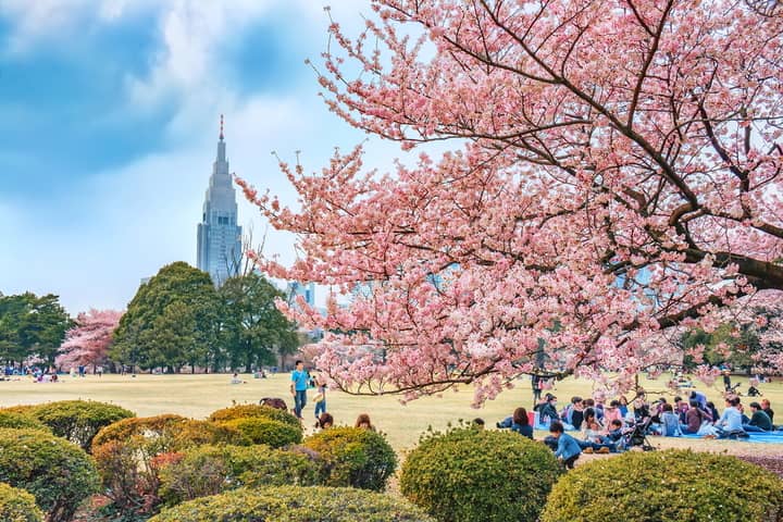 shunjuku gyoen park