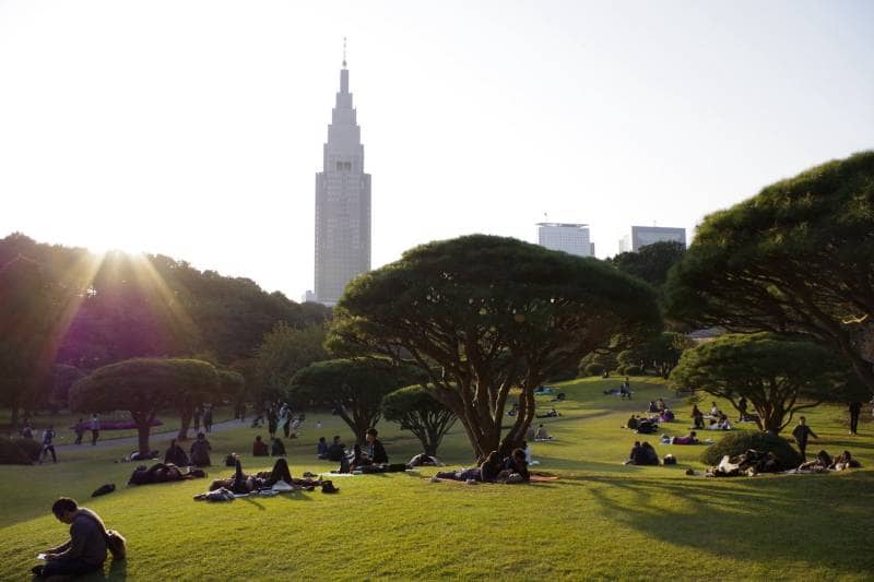 shunjuku gyoen park
