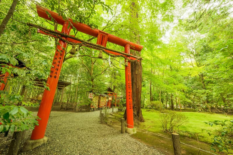 arashimaya bamboo forest