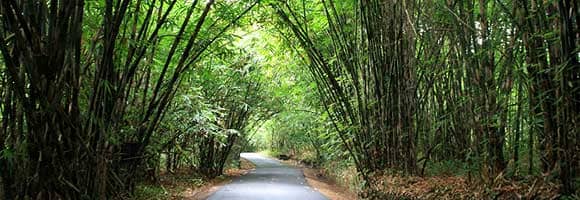 wisata di baliwisata di bali