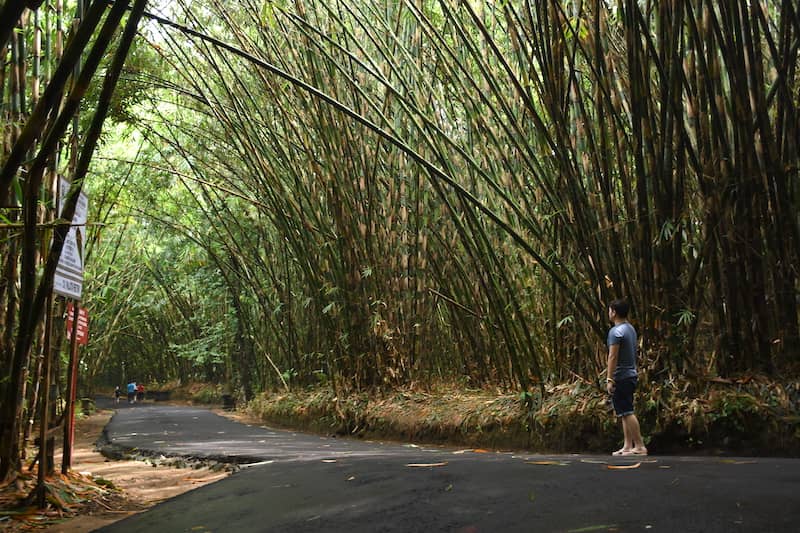 wisata di bali