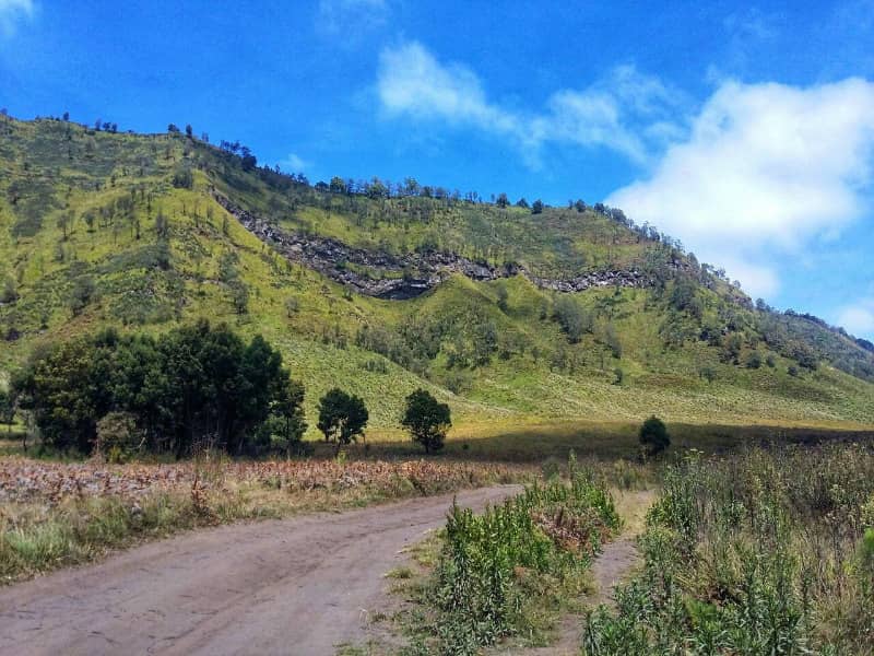 bukit teletubbies bromo